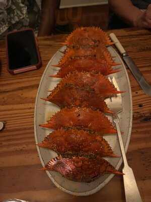 Mosquito Supper Club