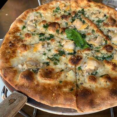 Table 87 Coal Oven Pizza