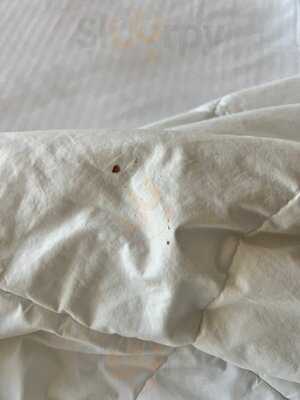 Flamingo Hotel And Casino