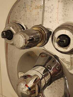 Flamingo Hotel And Casino