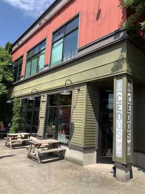 Cedos' Falafel And Gyros