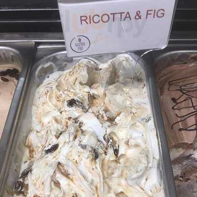 Voga Italian Gelato