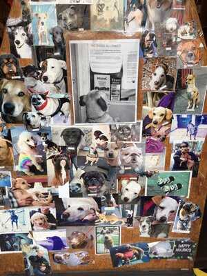 Spike's Coffee & Tea