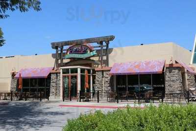 Paradise Bakery & Cafe