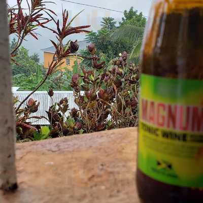 Green Garden Health Food