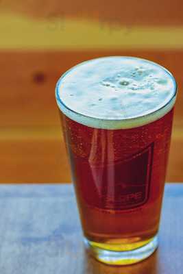 The Burger Stand At The Central Ale House