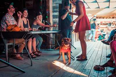 The Buzz Mill Coffee