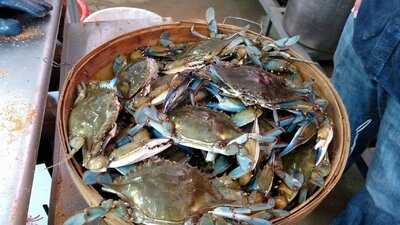 Nicks Farm & Crab Market