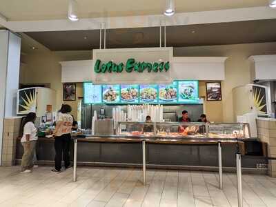 Foto 70210533