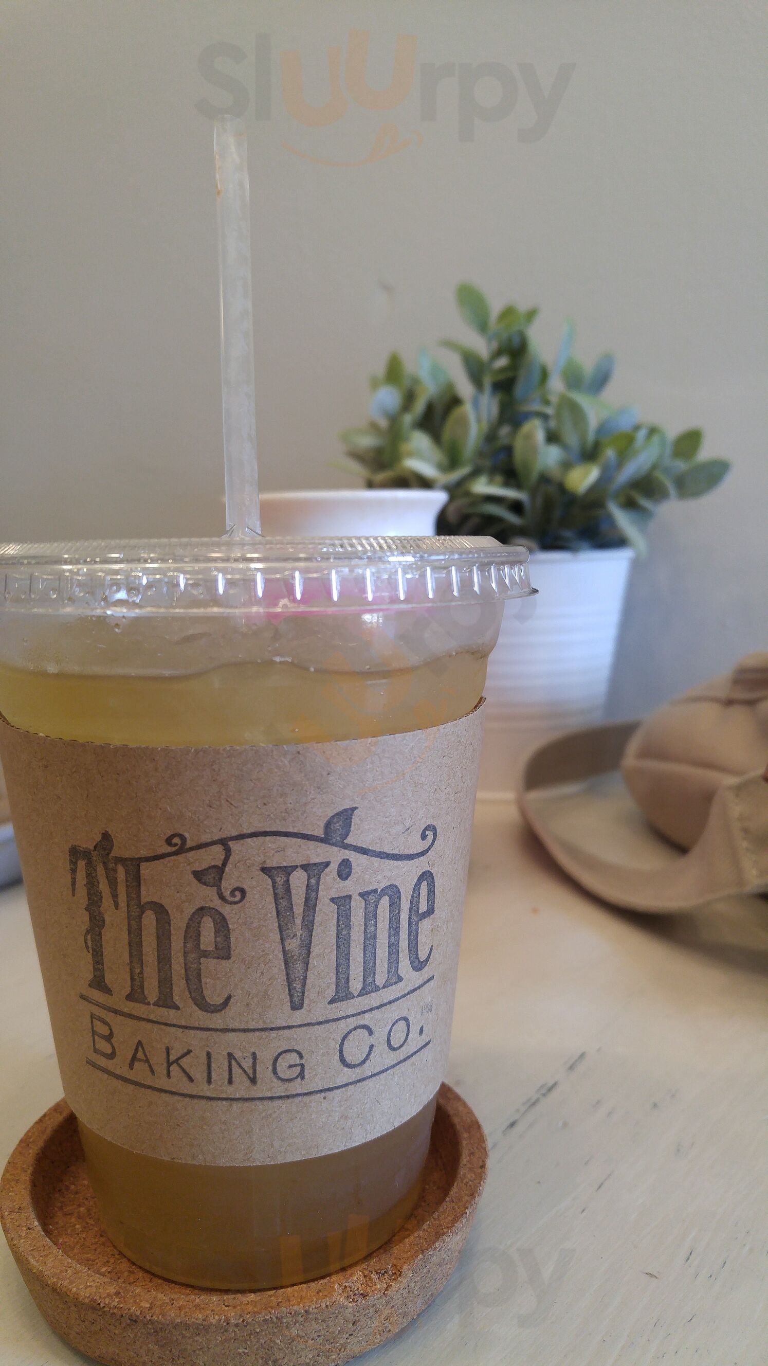 The Vine Baking Co.