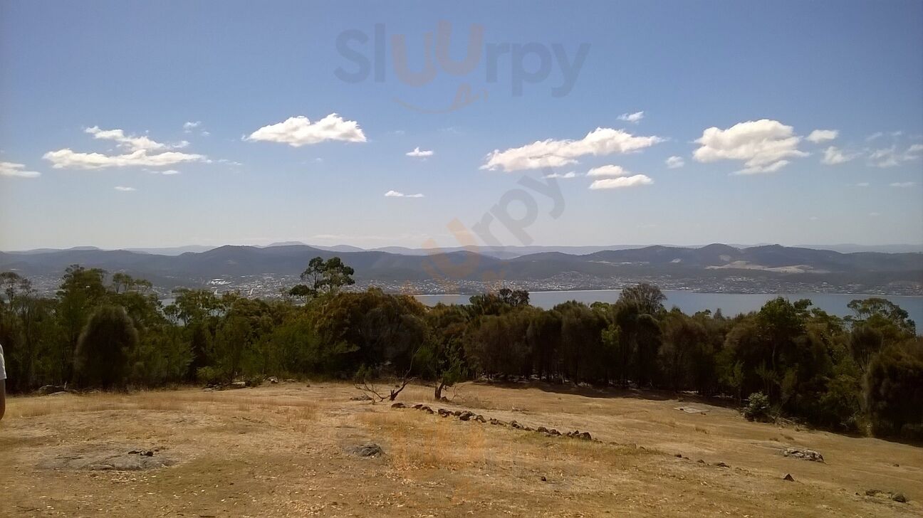 Signal Station Pizza