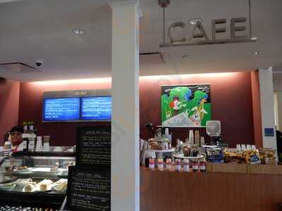 The Walt Disney Family Museum Cafe