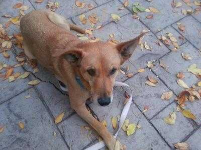 Highlands Cork & Cafe