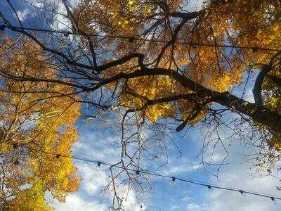 Highlands Cork & Cafe