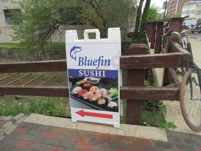 Bluefin
