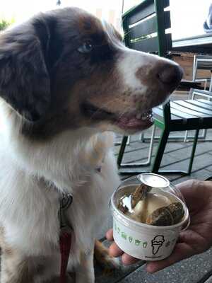 Shake Shack San Antonio, Park North