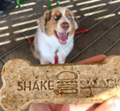 Shake Shack San Antonio, Park North