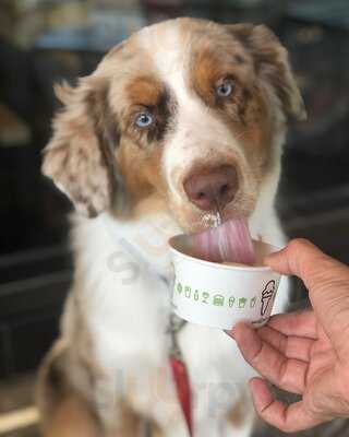 Shake Shack San Antonio, Park North