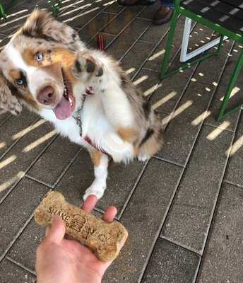 Shake Shack San Antonio, Park North