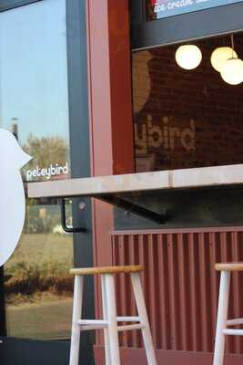 Peteybird Ice Cream Sandwiches