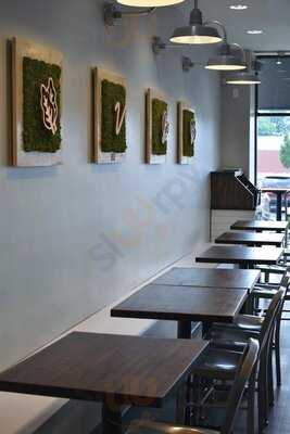 Vinaigrette Salad Kitchen