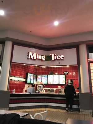 Ming Tree