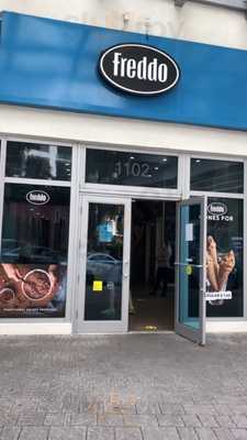 Freddo