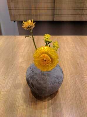 Shizuku By Chef Naoko