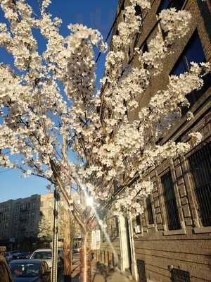 Tulcimex Corporation