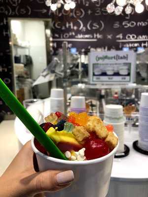 Yogurt Lab