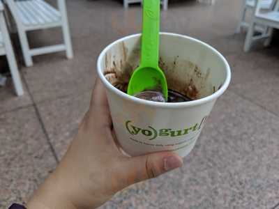 Yogurt Lab