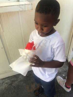 Imperial Woodpecker Sno Balls