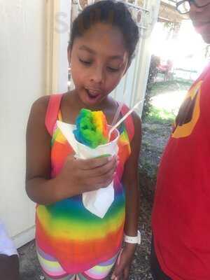 Imperial Woodpecker Sno Balls