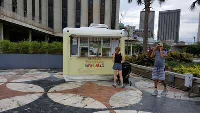 Imperial Woodpecker Sno Balls