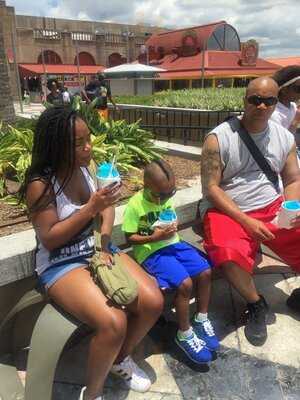 Imperial Woodpecker Sno Balls