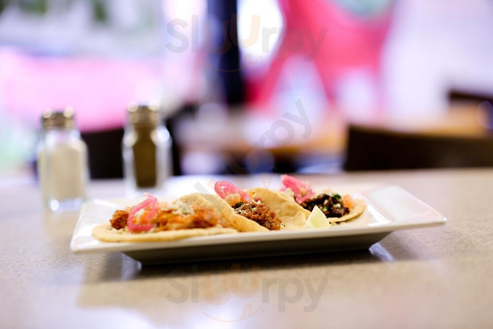 Krazy Lizard Taqueria