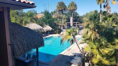 Kon Tiki At The Tahitian