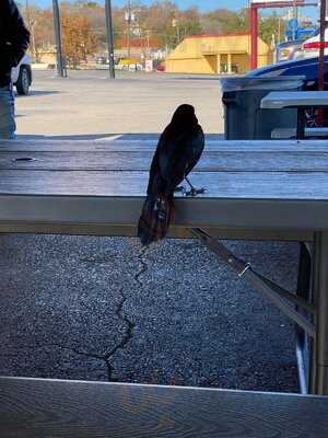 Al Pastor Mexican Restaurant