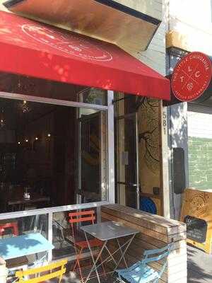 The Little Chihuahua