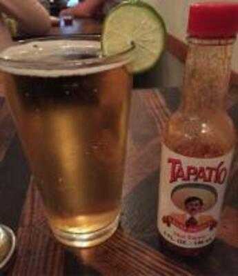 The Little Chihuahua