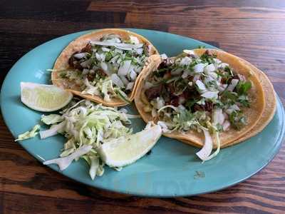 The Little Chihuahua