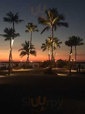 The Islamadora Fish Company