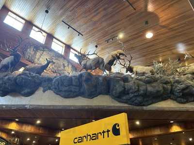 The Islamadora Fish Company