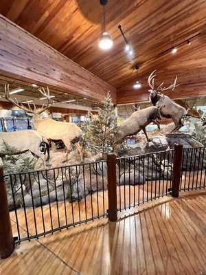 The Islamadora Fish Company