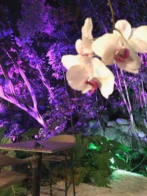 Primary Bar & Restaurant