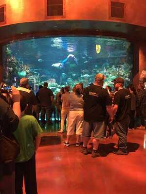 Mermaid Restaurant & Lounge