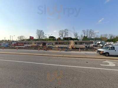 Olive Green International