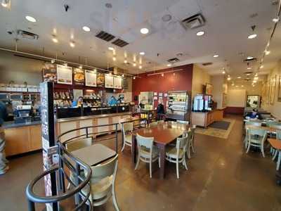 Einstein Bros. Bagels
