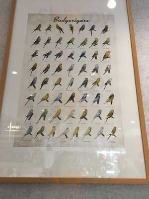 Parakeet Cafe