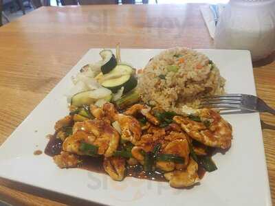 Hibachi Grill & Noodle Bar